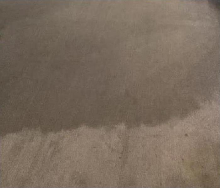 flood damaged carpeting