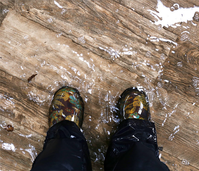 a person standing in a flooded room with their feet submerged in floodwater
